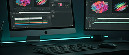 Multimedia